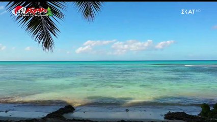 Survivor viral video: Καλλιτέχνης ο σκηνοθέτης