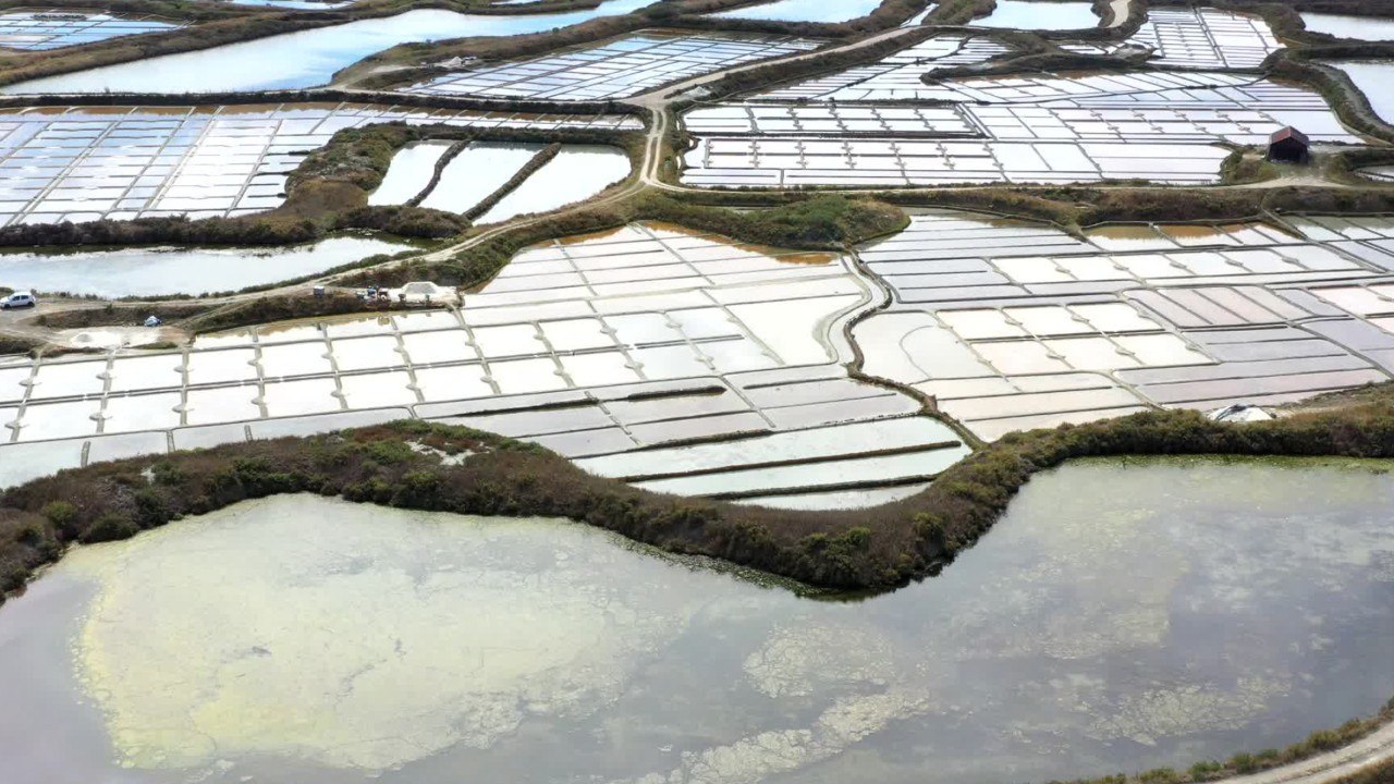 Cuisine Actuelle -Fleur de sel, gros sel, sel fin : quelles différences et quels usages ?