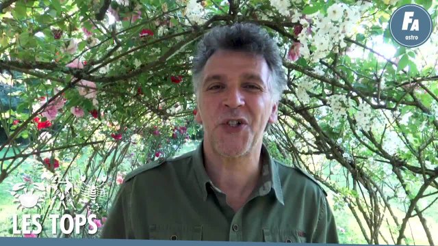 FEMME ACTUELLE - HOROSCOPE LES TOPS/FLOPS DU MOIS DE JUIN 2020 PAR MARC ANGEL