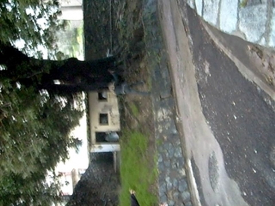 S6304693