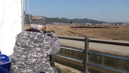 퇴직 교사의 독수리 사랑...지역도 살리는 효자 노릇 '톡톡' / YTN