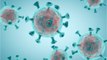 FEMME ACTUELLE - Covid-19 : une étude révèle que le coronavirus pourrait circuler jusqu’à 4 mètres d’un malade