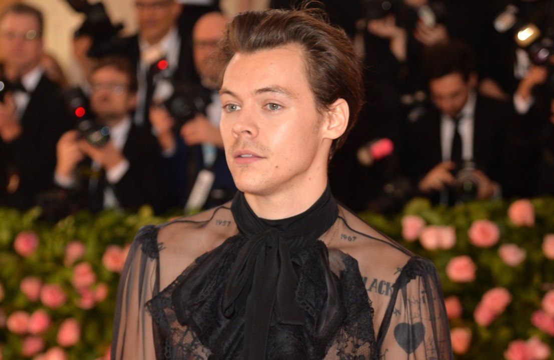 How is Harry Styles and Olivia Wilde's romance going?