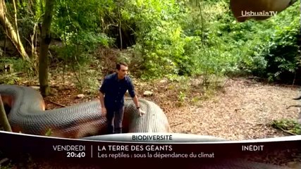 Terre des géants : Les reptiles : sous la dépendance du climat