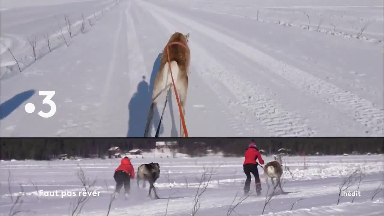 Faut pas rêver - 18 février