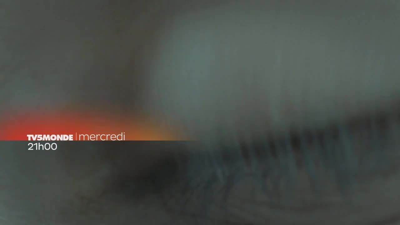 DataLand : Intelligence artificielle, notre meilleure amie ?