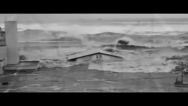 Fukushima mon amour - 7 février