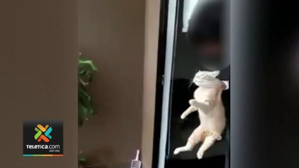 tn7-juicio-maltrato-animal-040122