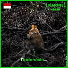 SIMONE : Le réchauffement climatique : une réalité ?