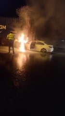 TIR'a çarpan otomobilin sürücüsü yanarak can verdi
