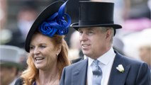 FEMME ACTUELLE - Sarah Ferguson très complice avec son ex-époux, le prince Andrew : les internautes espèrent un remariage