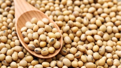 FEMME ACTUELLE - Perturbateurs endocriniens : l’UFC-Que Choisir pointe du doigt les produits à base de soja