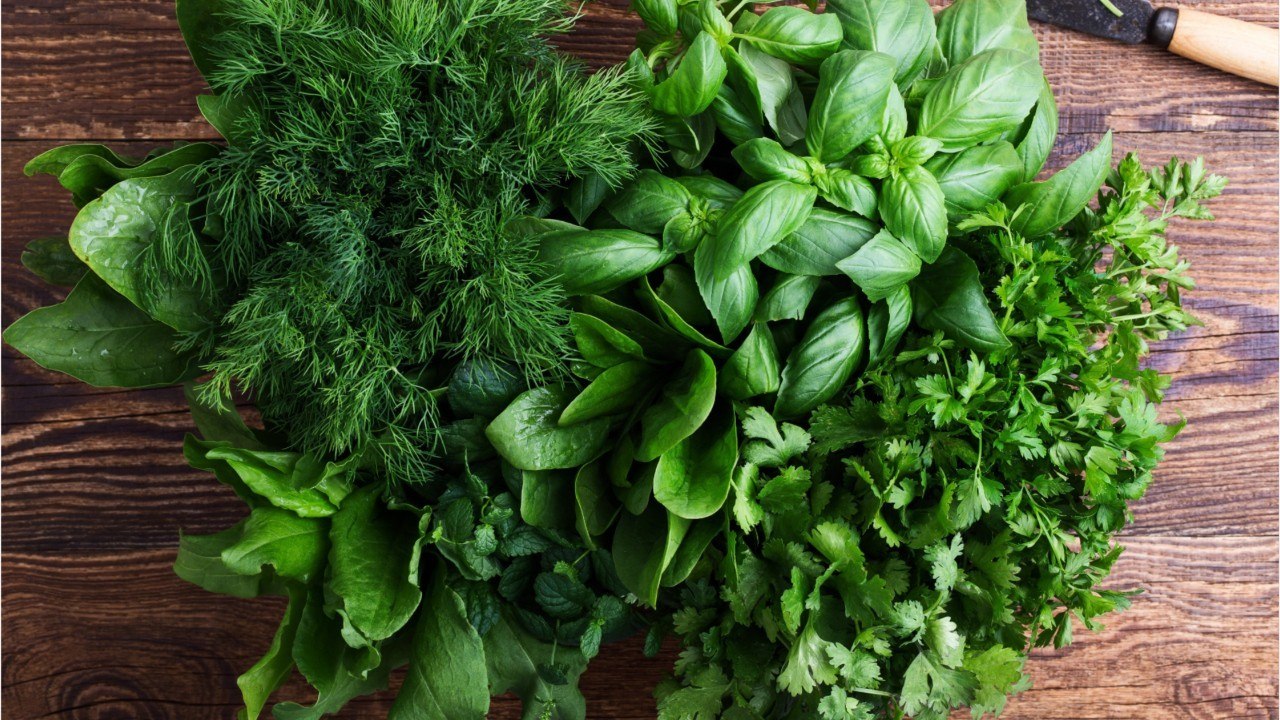 FEMME ACTUELLE - Comment conserver ses herbes aromatiques plus longtemps ?