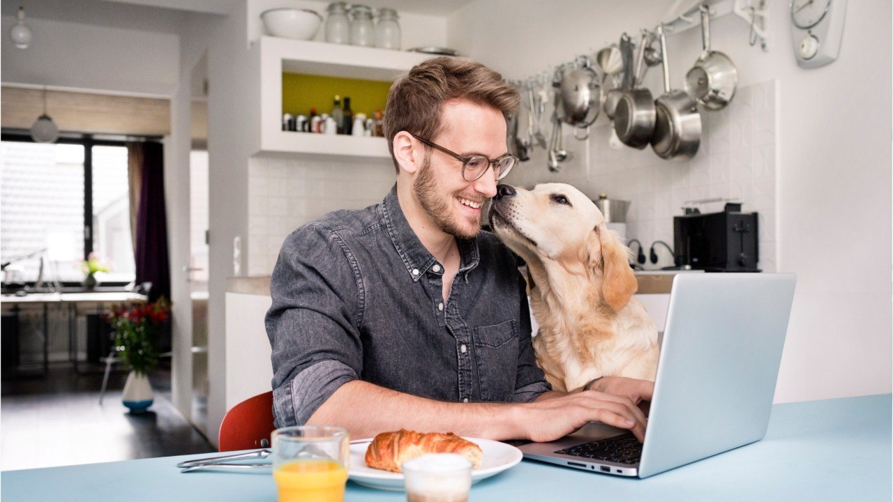 FEMME ACTUELLE - La barbe de votre mec est plus sale que les poils de votre chien !