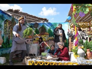 مواكب سيارات الزهور تجوب مدن الدقهلية في احتفالها بالعيد القومي