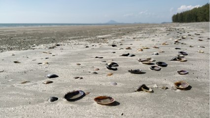 FEMME ACTUELLE – Une ancienne candidate de Koh Lanta raconte avoir été violée dans son enfance