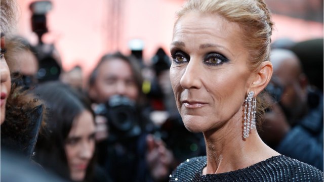 FEMME ACTUELLE - Céline Dion : en robe longue ultra-fendue et décolleté chic, la diva a fait sensation