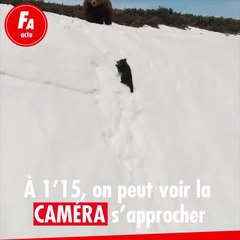 FEMME ACTUELLE - Un petit ourson trop mignon