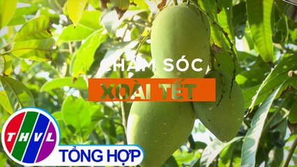Bạn nhà nông - Kỳ 210: Chăm sóc xoài Tết - Trailer