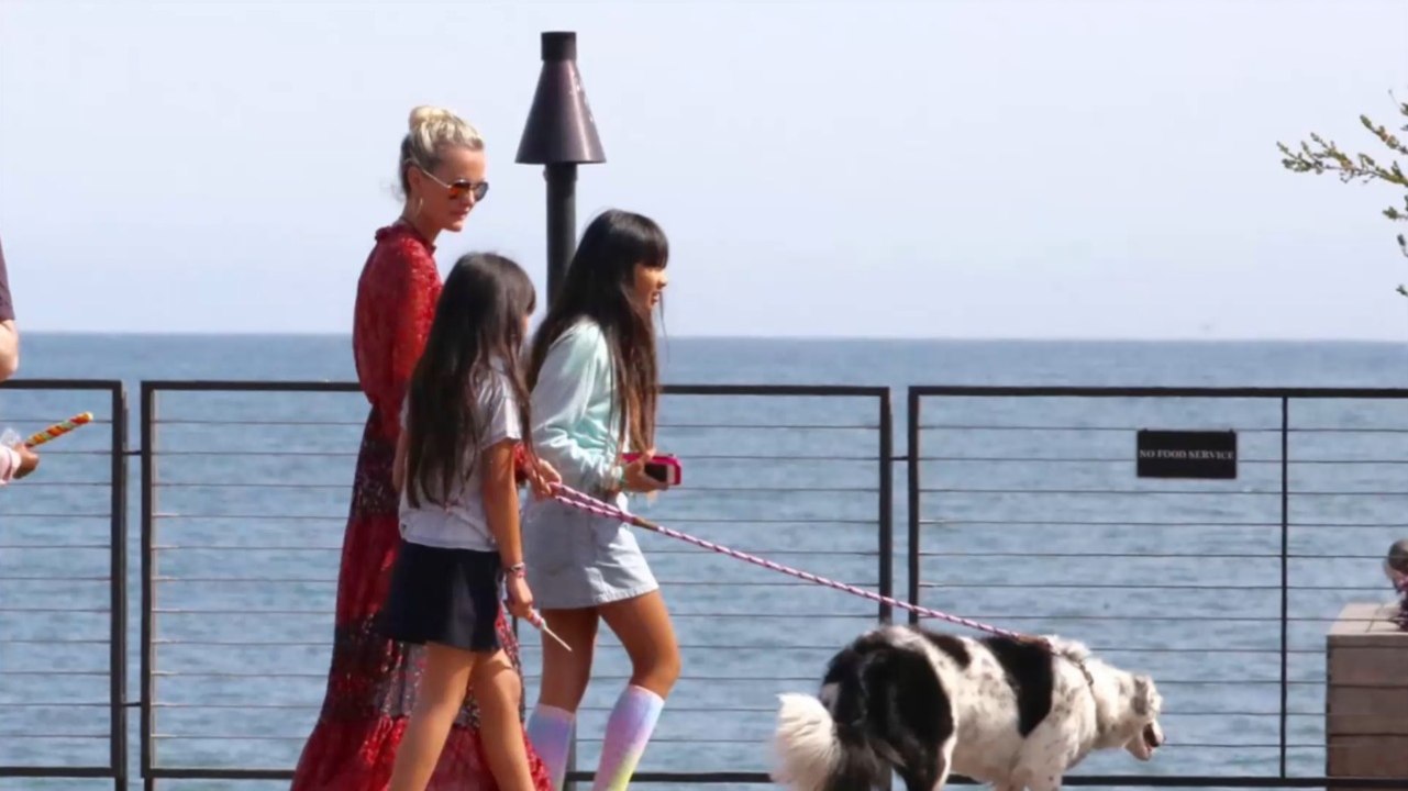 FEMME ACTUELLE - Cheyenne, la chienne de Johnny, subjuguée par le dernier clip du chanteur