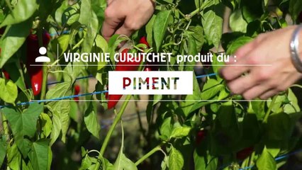 Des Régions à croquer : le teaser piment