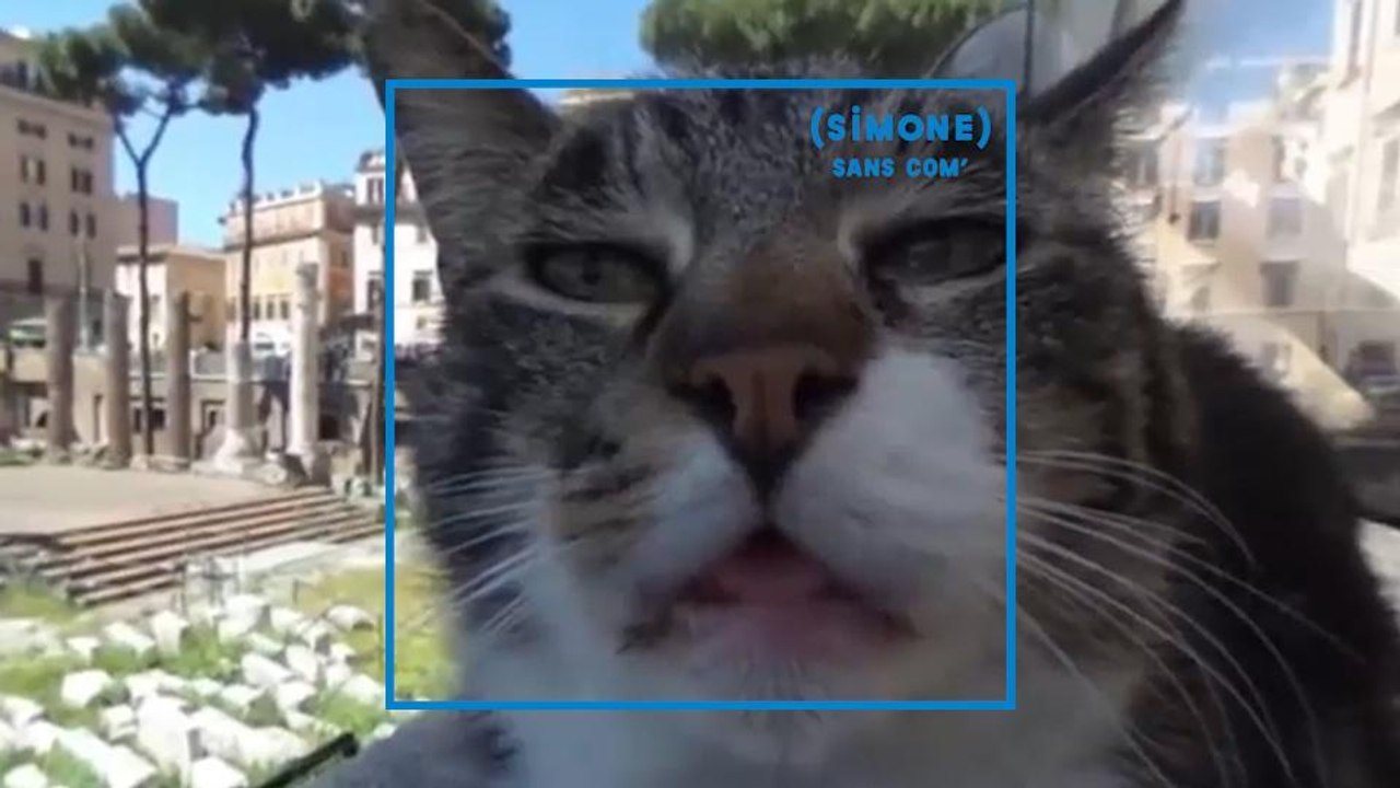 SIMONE : Le chat de Google Maps