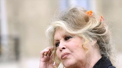 FEMME ACTUELLE - Pourquoi Brigitte Bardot a rencontré le couple Macron à l'Élysée ?
