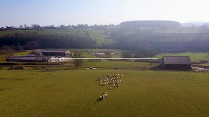 Tout savoir sur l'agneau : le teaser