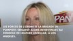 Heather Locklear : la star de 