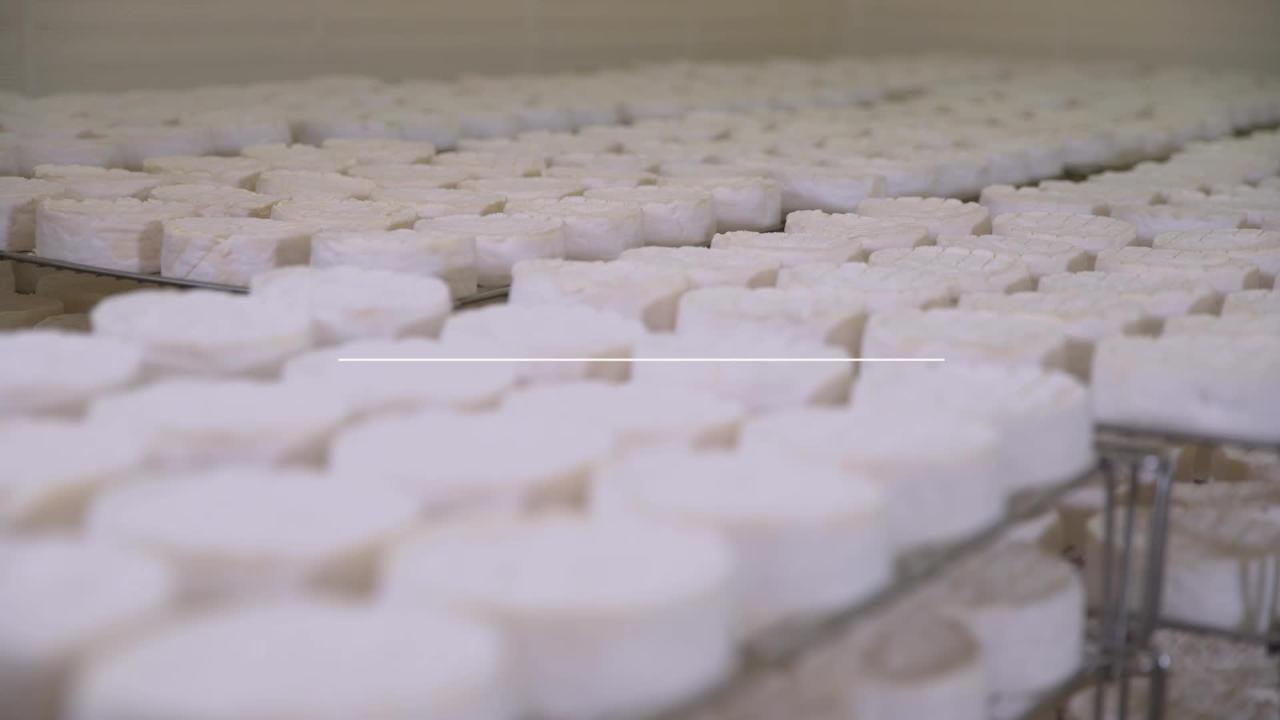 Des régions à croquer : tout savoir sur le camembert (teaser)