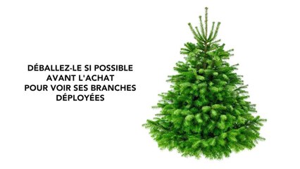 FEMME ACTUELLE - Les 5 astuces géniales pour bien choisir son sapin