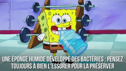 FEMME ACTUELLE - À quelle fréquence faut-il jeter une éponge ?