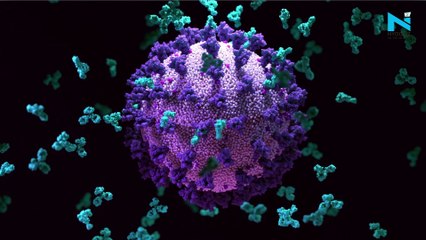 Delta, Omicron variants leading to 'tsunami' of COVID cases, says WHO chief