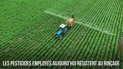 FEMME ACTUELLE - Comment enlever les pesticides de vos fruits et légumes ?