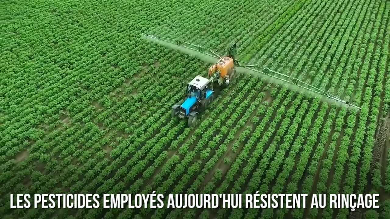 FEMME ACTUELLE - Comment enlever les pesticides de vos fruits et légumes ?