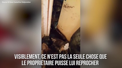 FEMME ACTUELLE - L'appartement de l'horreur filmé par un propriétaire après quatre ans de location