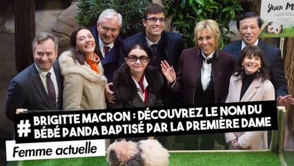 FEMME ACTUELLE - Brigitte Macron : découvrez le nom du bébé panda baptisé par la Première dame