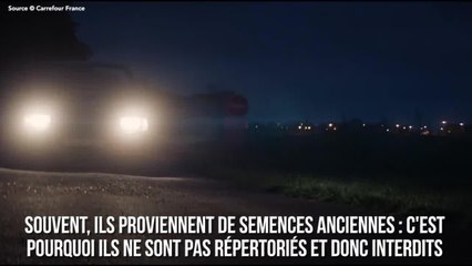 FEMME ACTUELLE - Carrefour se lance dans la vente de légumes interdits : pari réussi !