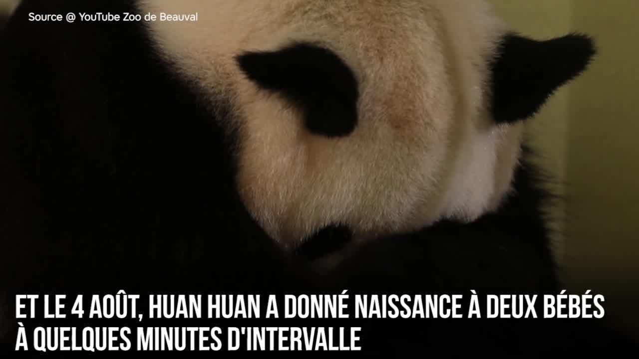 FEMME ACTUELLE - Découvrez les toutes premières...