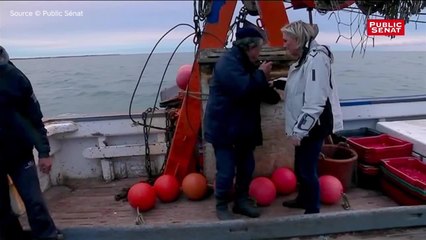 FEMME ACTUELLE - Quand Marine Le Pen et Gilbert Collard appellent les dauphins...