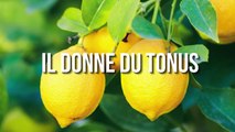 FEMME ACTUELLE - Les 5 pouvoirs magiques du citron