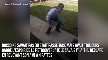 FEMME ACTUELLE - Un enfant de 11 ans retrouve son chien perdu depuis des mois... et pleure de joie