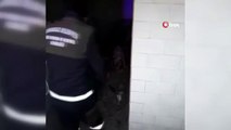 Bursa'da başıboş Pitbull köpeğine camide operasyon
