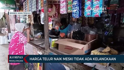 Harga Telur Naik Meski Tak Alami Kenaikan