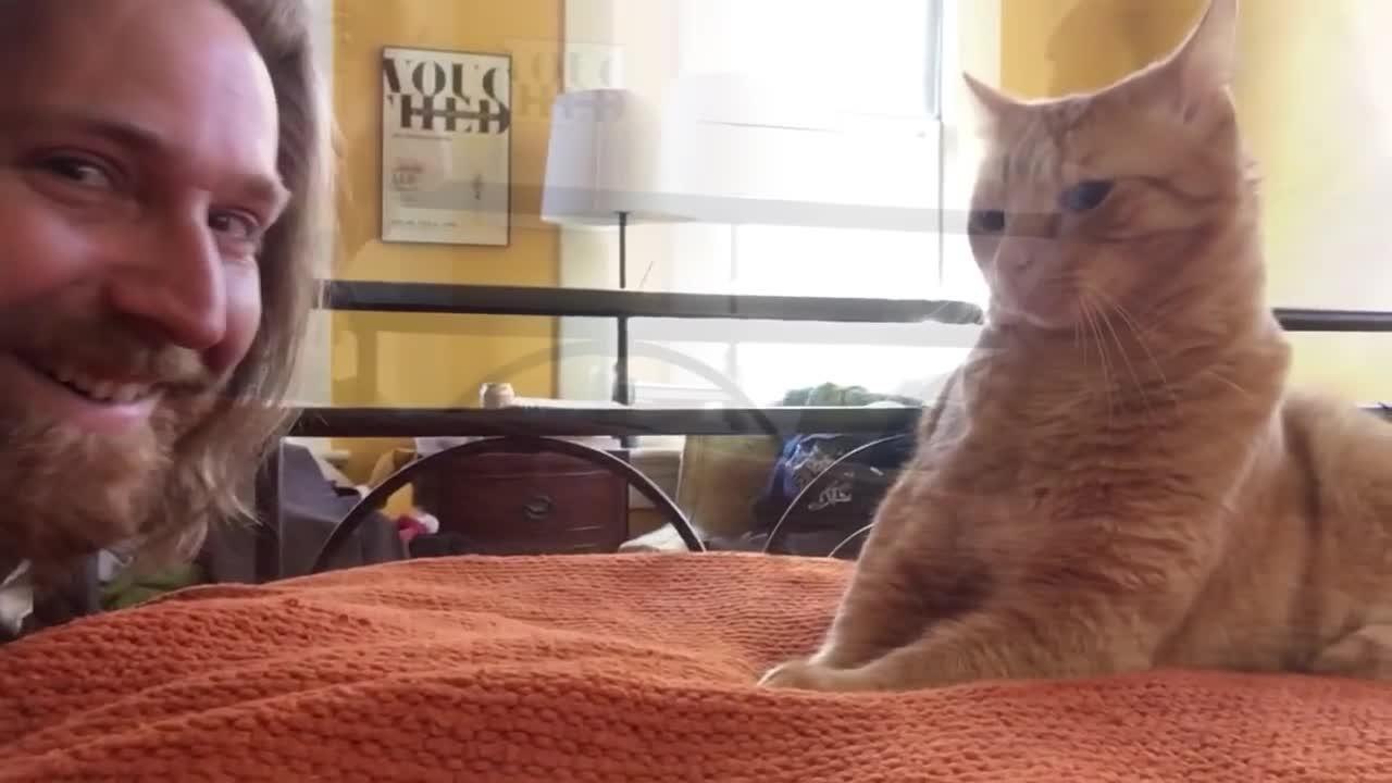 FEMME ACTUELLE - Fatigué d’être réveillé la nuit par son chat, il se venge de la pire des façons