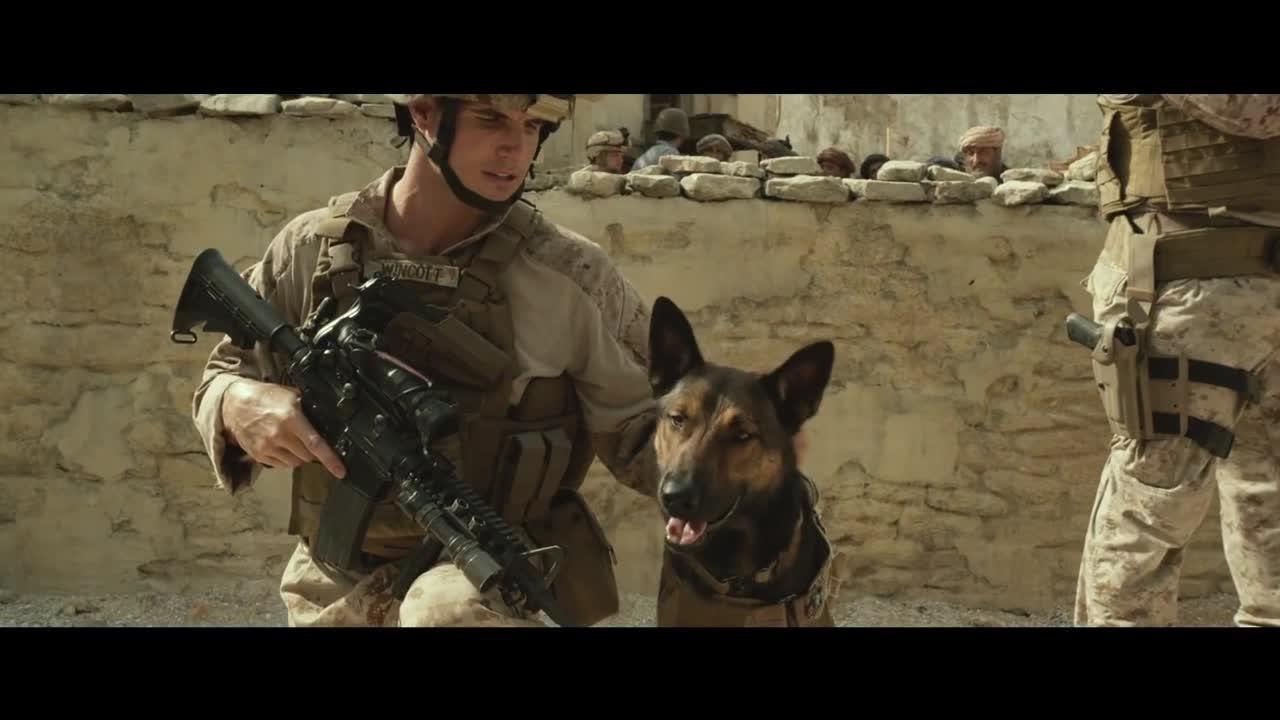 FEMME ACTUELLE - Le malinois, un chien d’une gr...