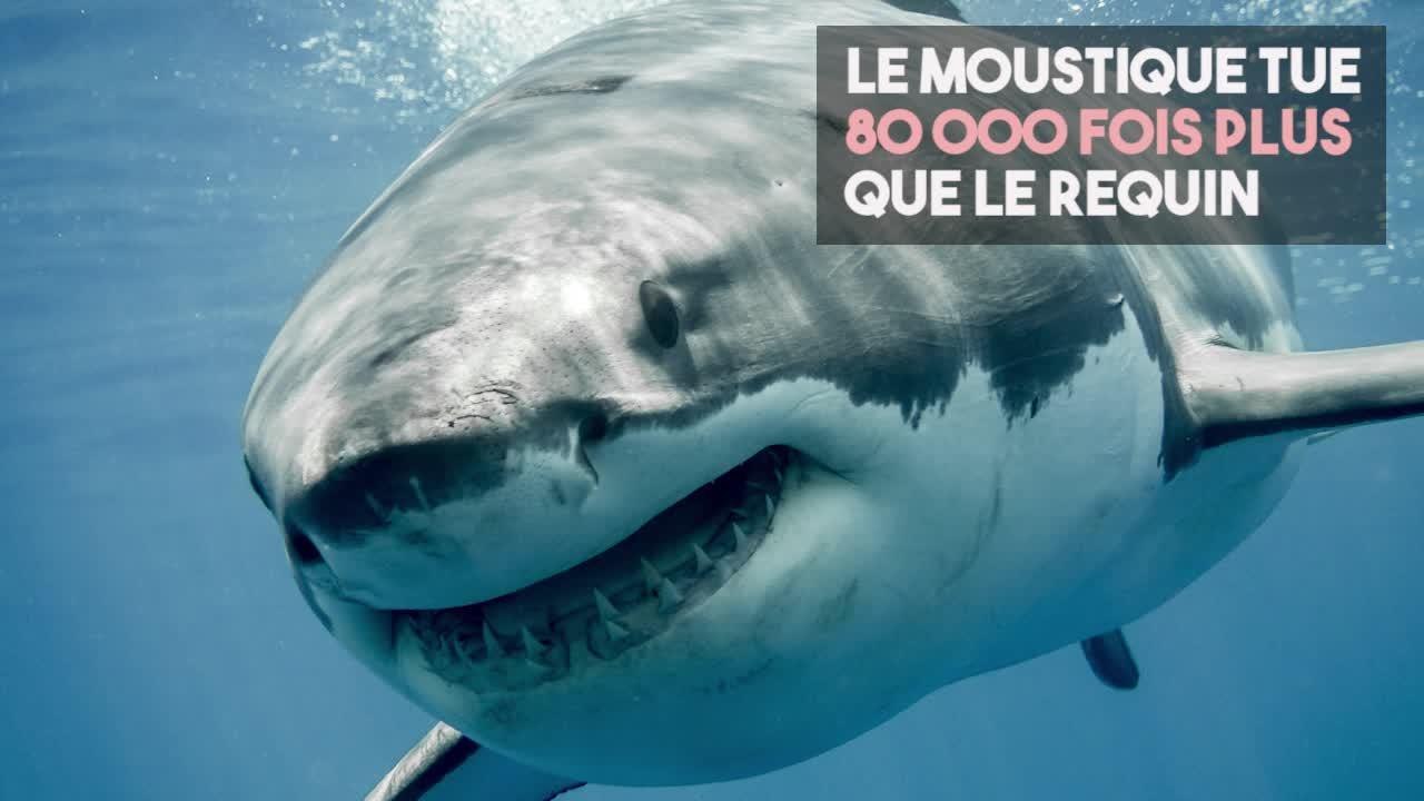 FEMME ACTUELLE - 10 chiffres santé aussi insolites qu’inutiles