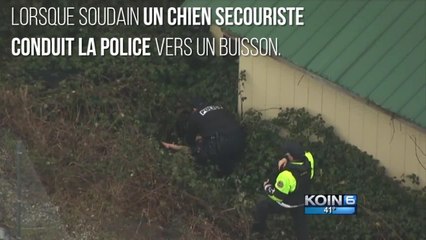 FEMME ACTUELLE - Un bébé retrouvé sain et sauf