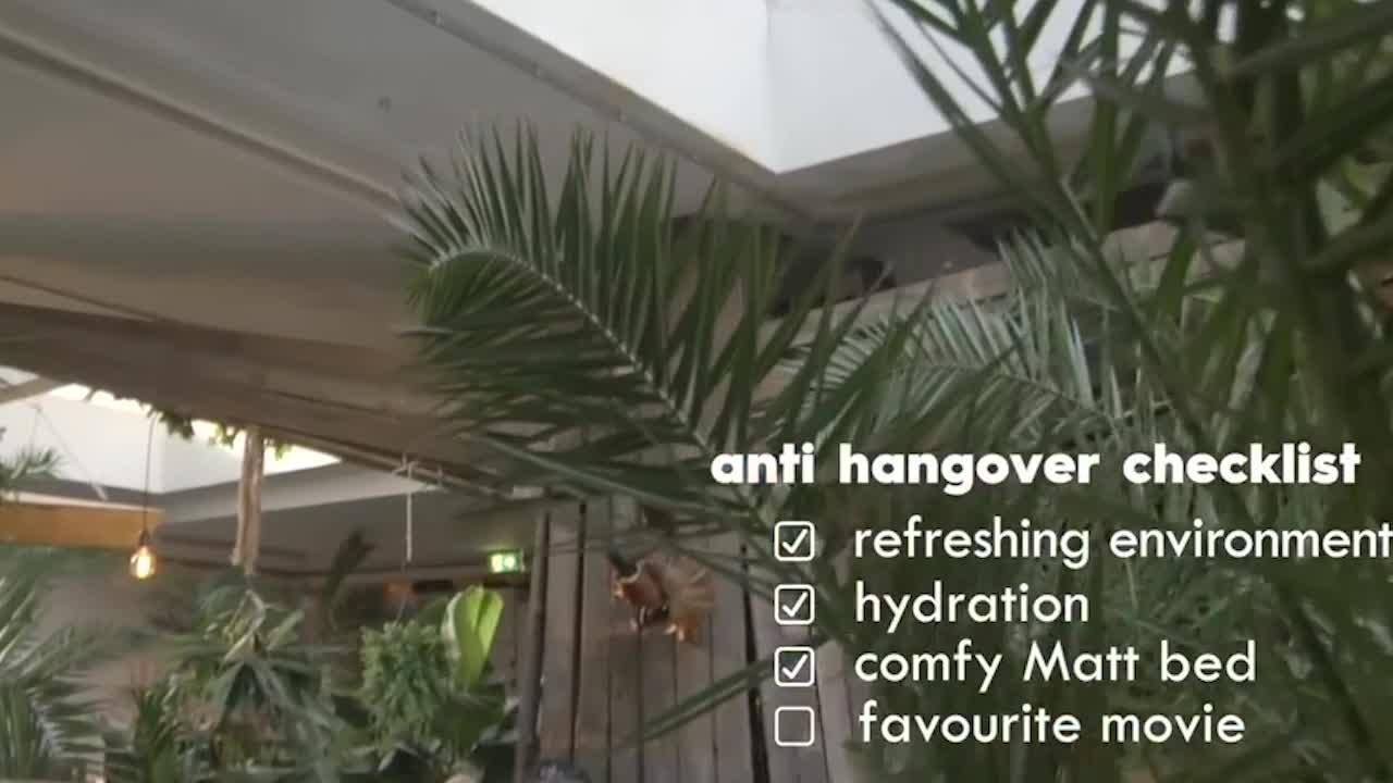 FEMME ACTUELLE - Amsterdam : un bar à gueule de bois ouvre ses portes