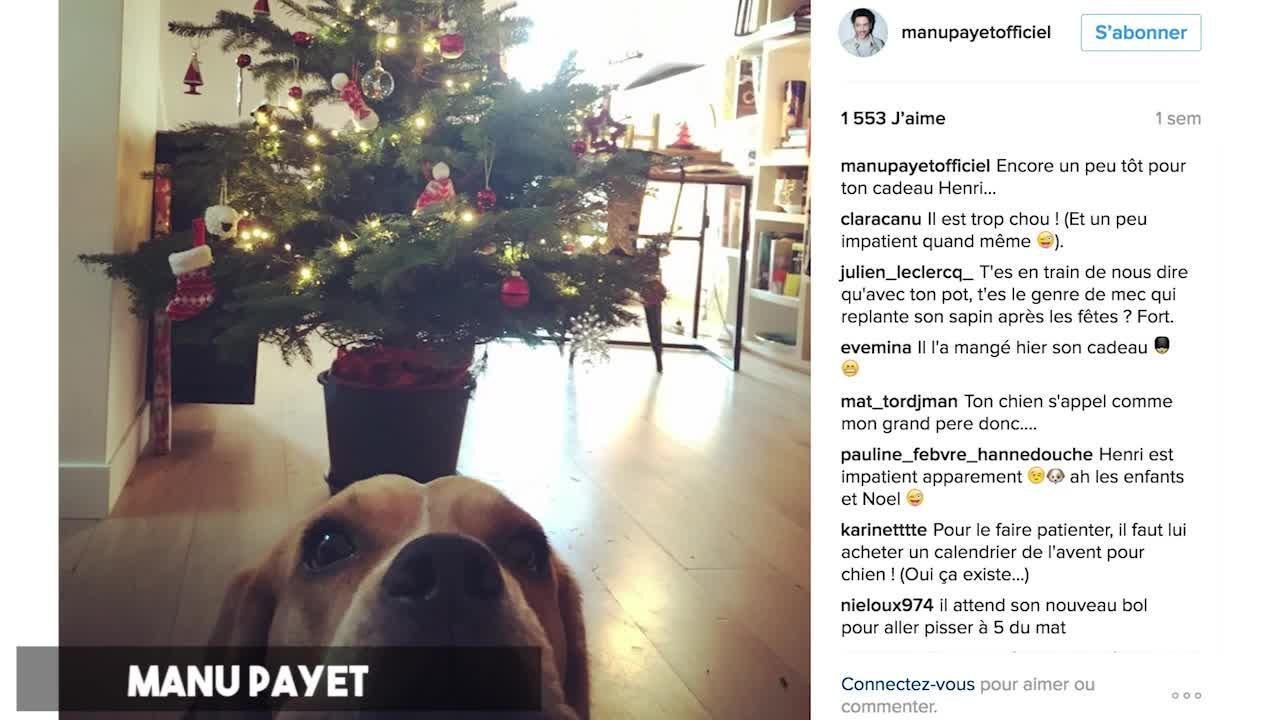 FEMME ACTUELLE - Valérie Damidot, Laurent Ournac : découvrez les sapins de Noël des célébrités